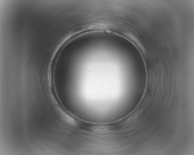 X0000071351083200606301646