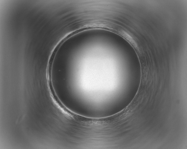 X0000071351084200606301646