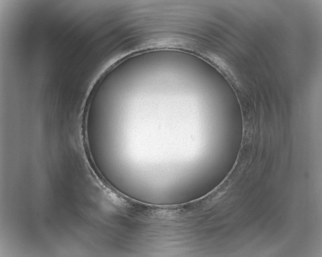 X0000071351086200606301646