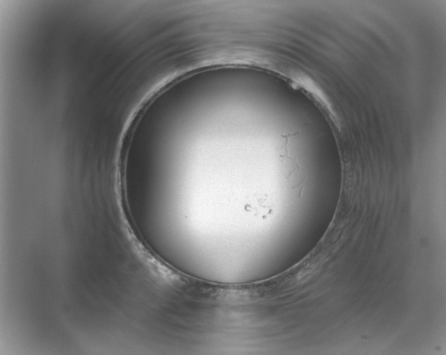 X0000071351088200606301646