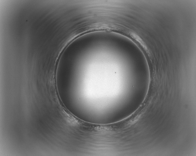 X0000071351089200606301646