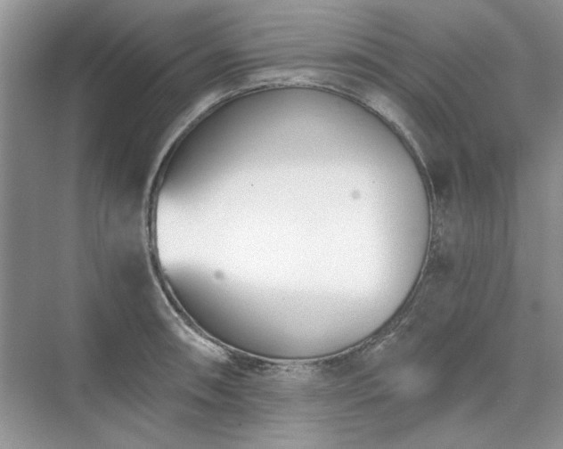 X0000071351090200606301646