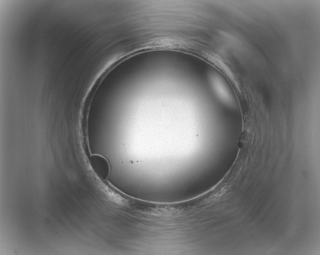 X0000071351091200606301646