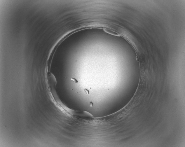 X0000071351092200606301646