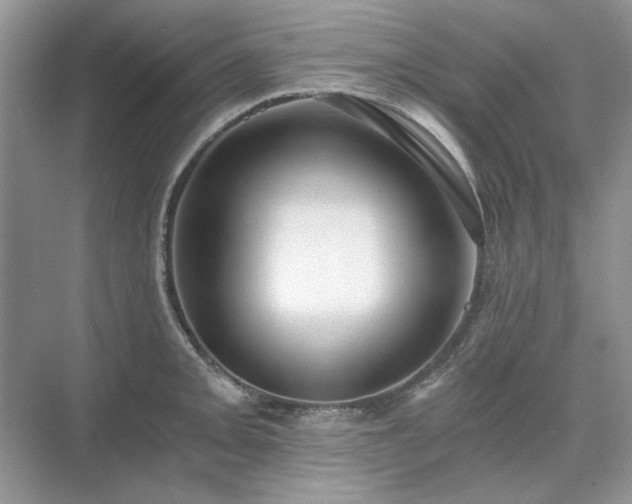 X0000071351093200606301646