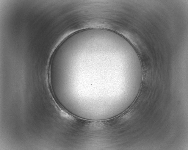 X0000071351094200606301646