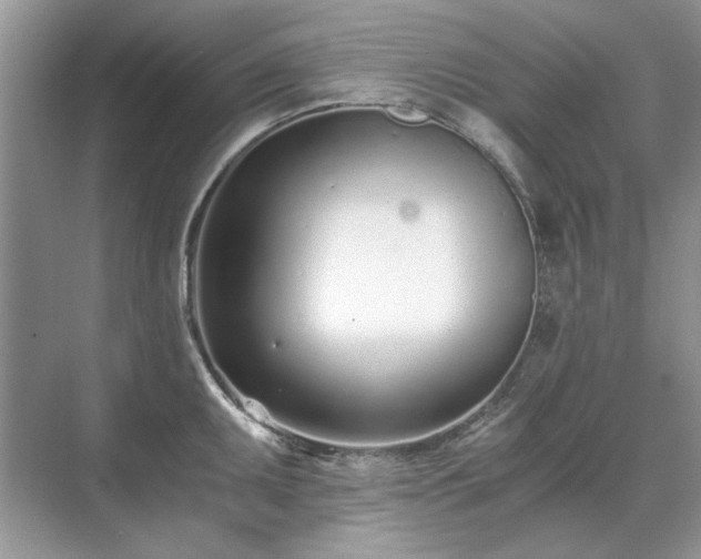 X0000071351095200606301646