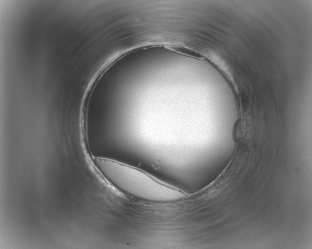 X0000071351096200606301646