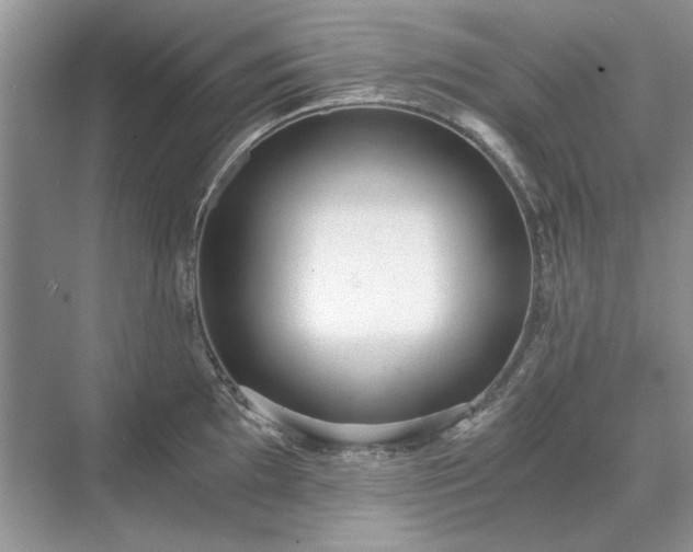 X0000071351097200606301646