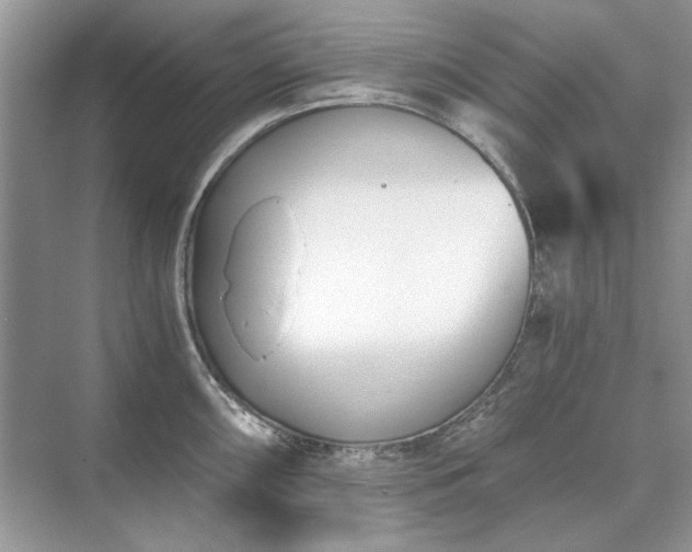 X0000071351098200606301646