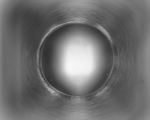 X0000071351099200606301646