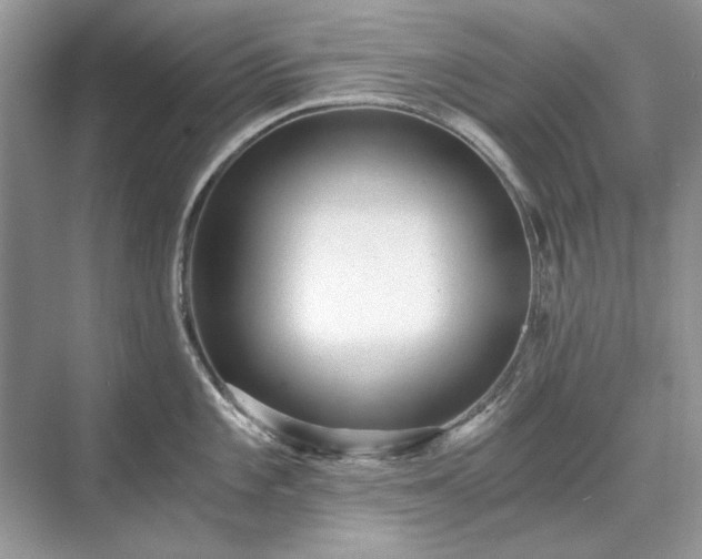 X0000071351101200606301646