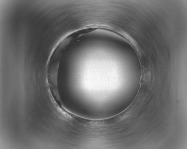 X0000071351102200606301646