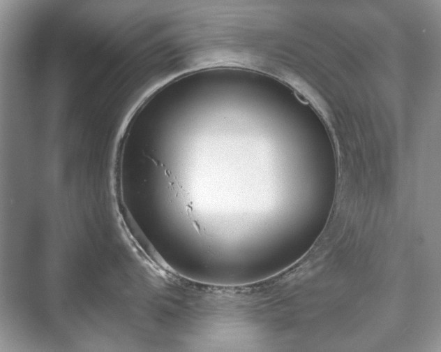 X0000071351104200606301646