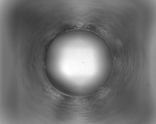 X0000071351105200606301645