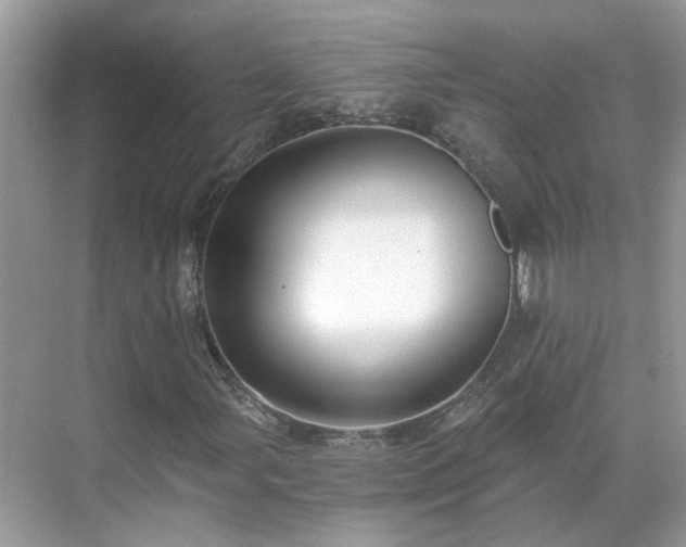 X0000071351107200606301645