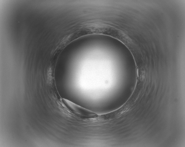 X0000071351108200606301645