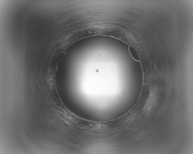 X0000071351109200606301645