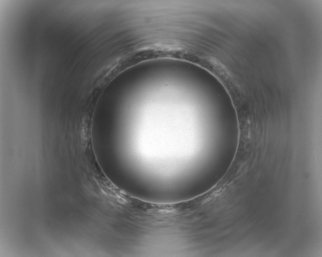 X0000071351110200606301645