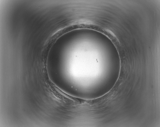 X0000071351112200606301645