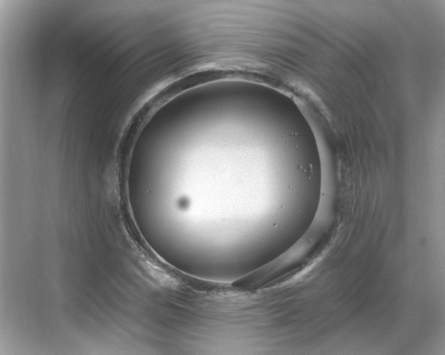 X0000071351114200606301645