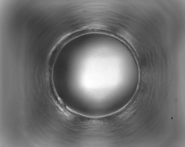 X0000071351115200606301645