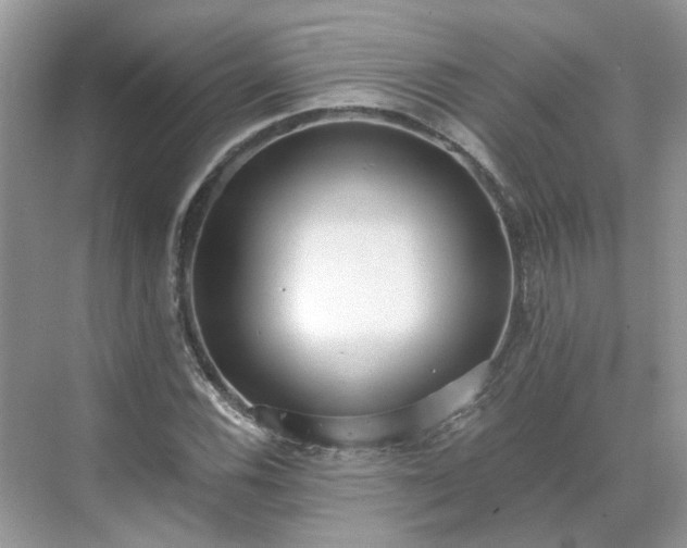 X0000071351116200606301645