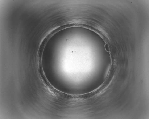 X0000071351117200606301645