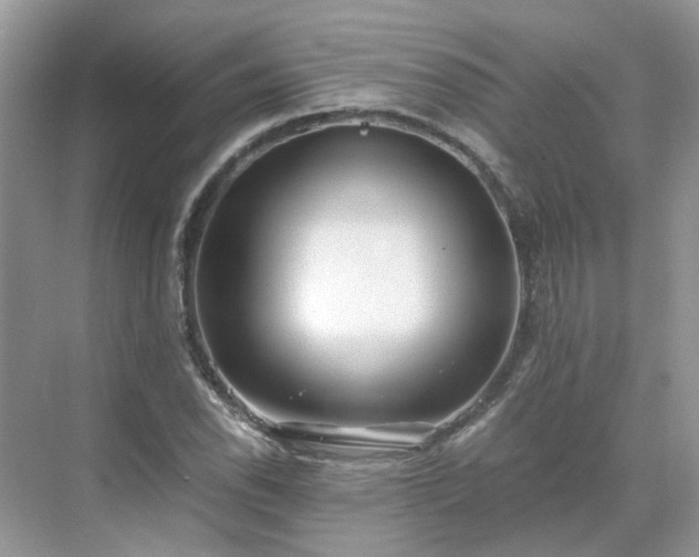 X0000071351118200606301645