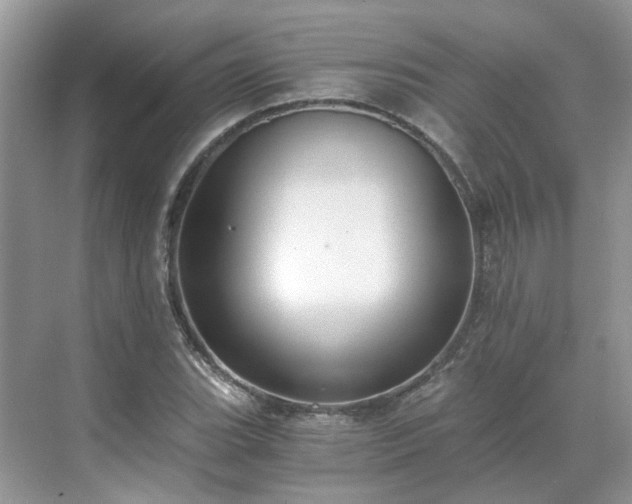 X0000071351119200606301645