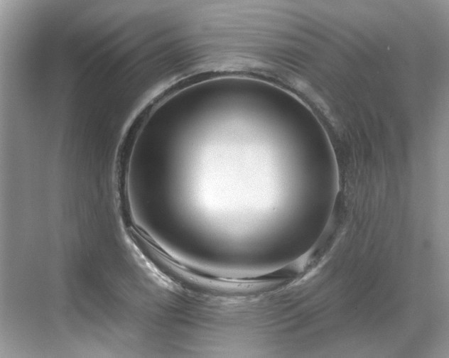 X0000071351122200606301645