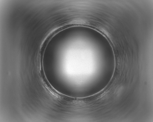 X0000071351123200606301645