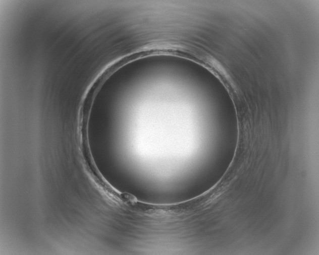 X0000071351124200606301645