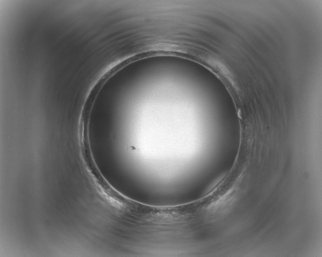 X0000071351125200606301645