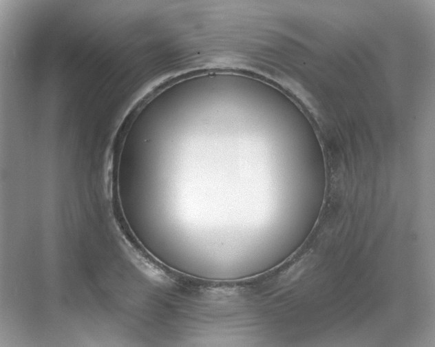 X0000071351126200606301645