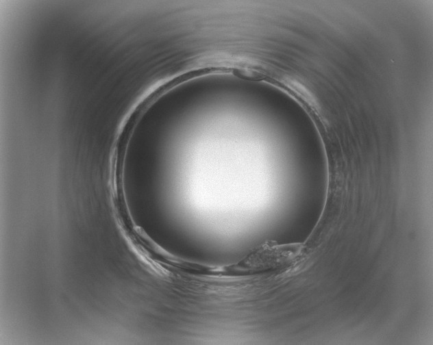 X0000071351128200606301645