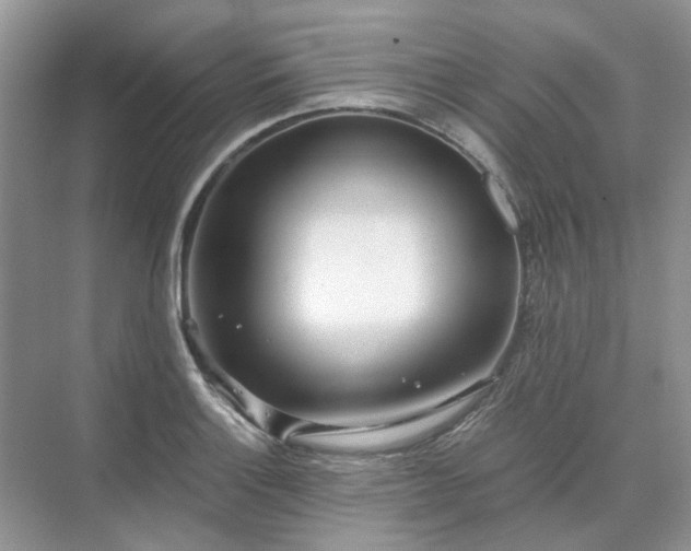 X0000071351132200606301645