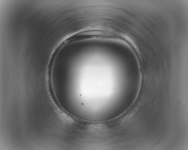 X0000071351133200606301645