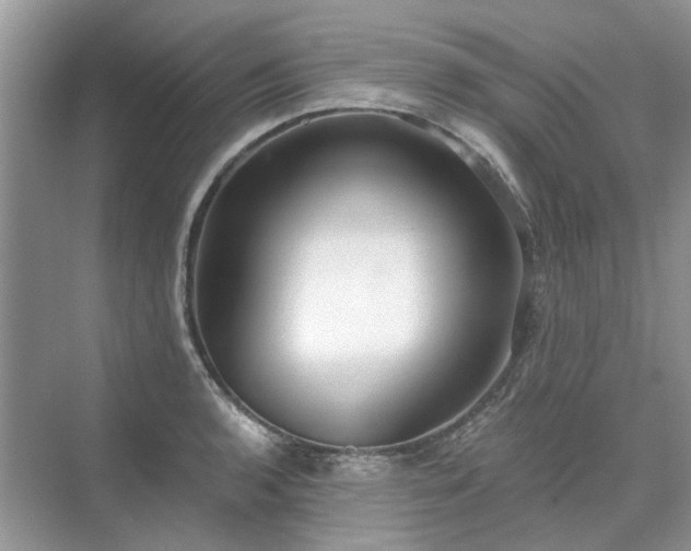 X0000071351136200606301645