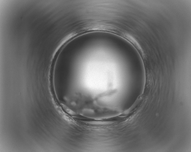 X0000071351138200606301645