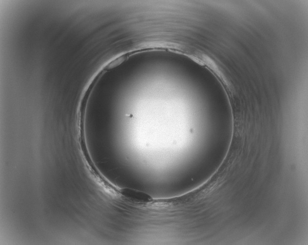 X0000071351140200606301645