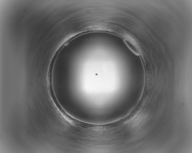 X0000071351141200606301645