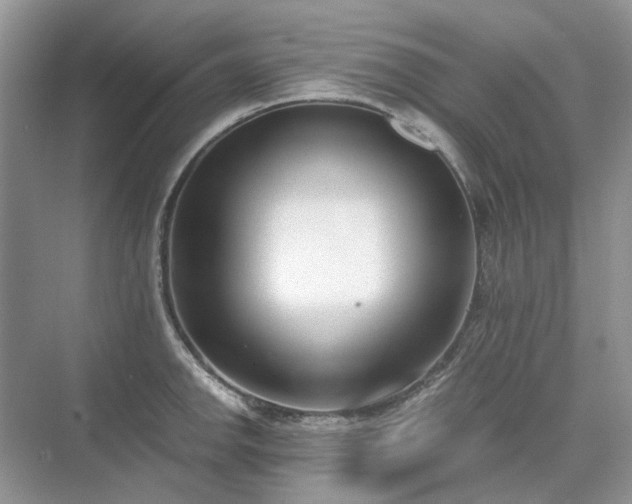 X0000071351142200606301645