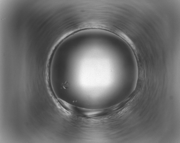 X0000071351144200606301645