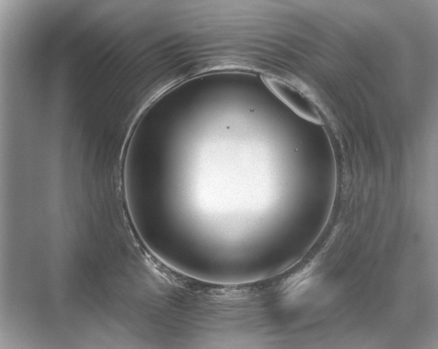 X0000071351145200606301645