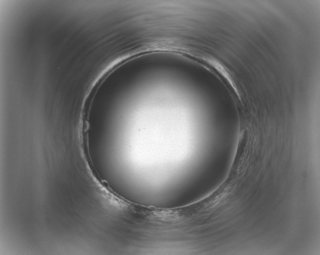 X0000071351147200606301646