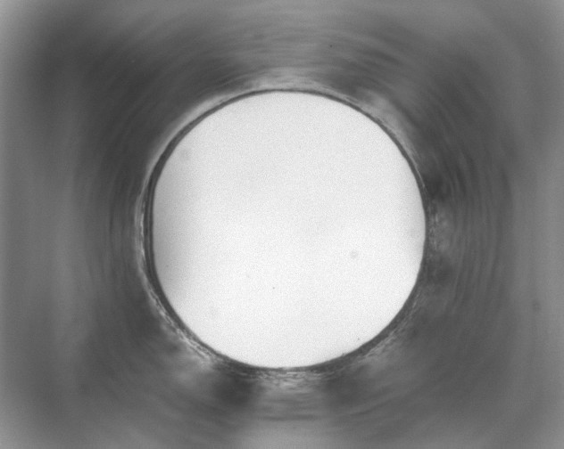 X0000071351150200606301646