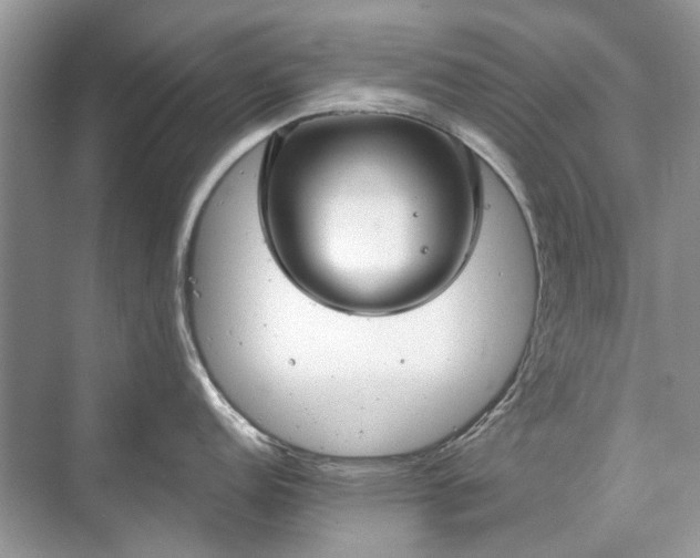 X0000071351152200606301646