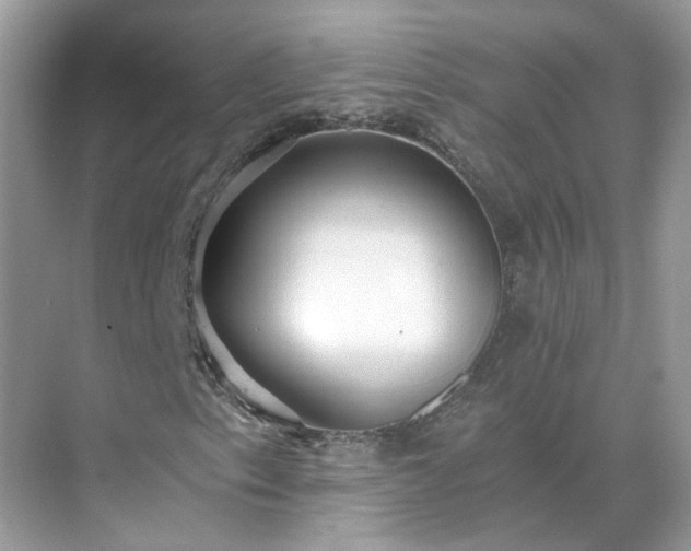 X0000071351153200606301645