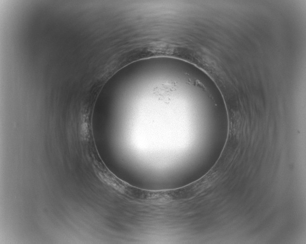 X0000071351154200606301645